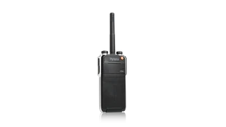 Z1p
